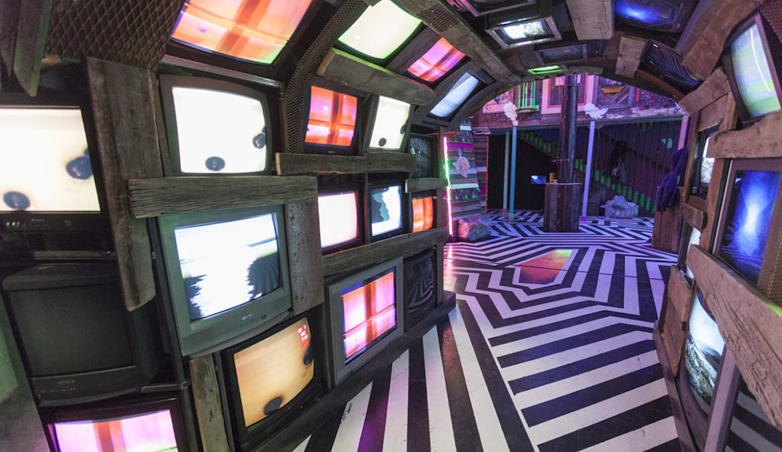 meow wolf story