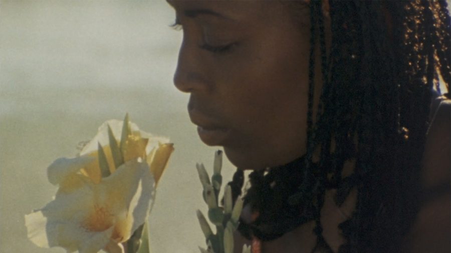 Cane River Northwest Film Forum