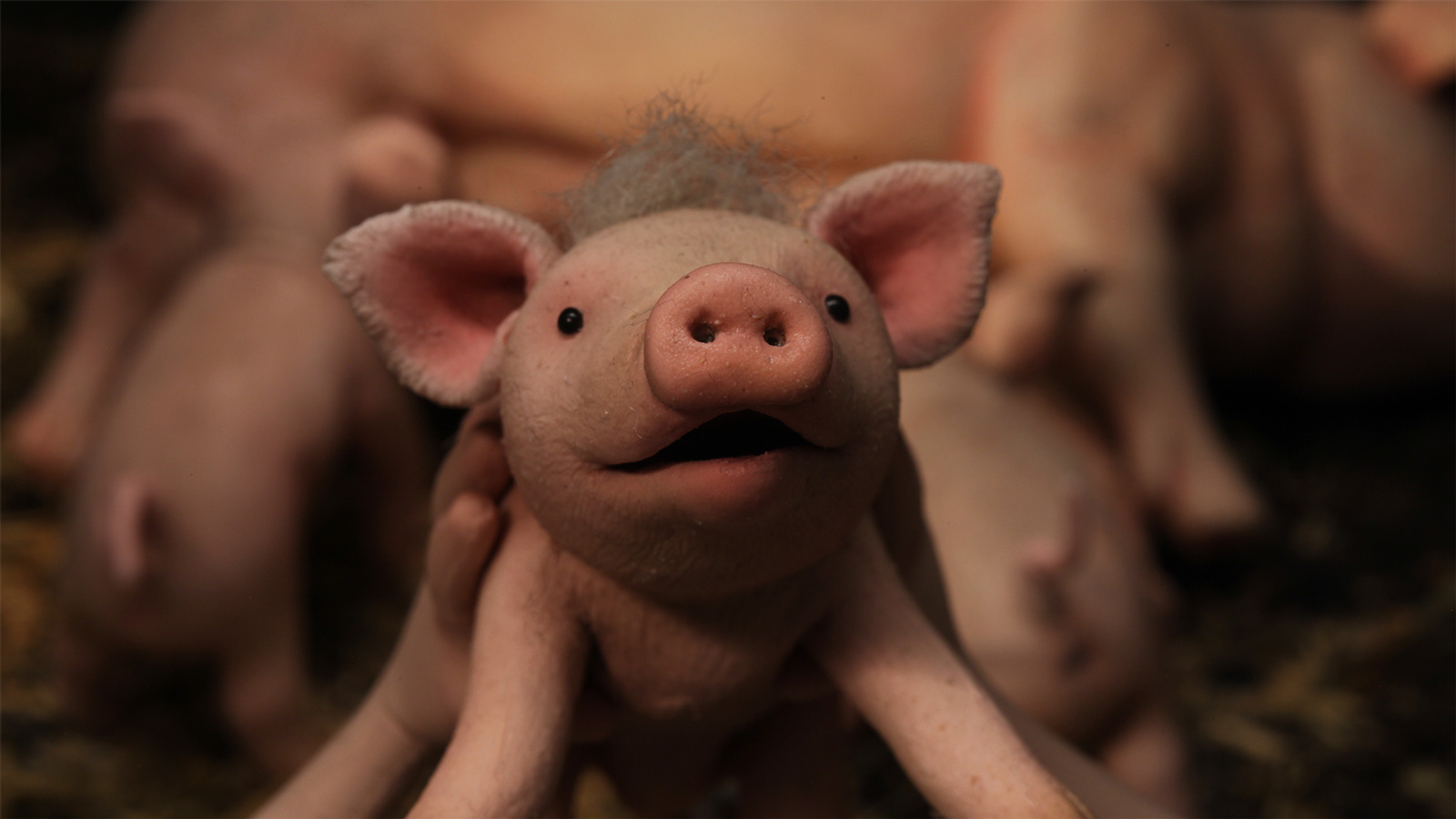 Oink (Knor) [In-Person Only] - Northwest Film Forum