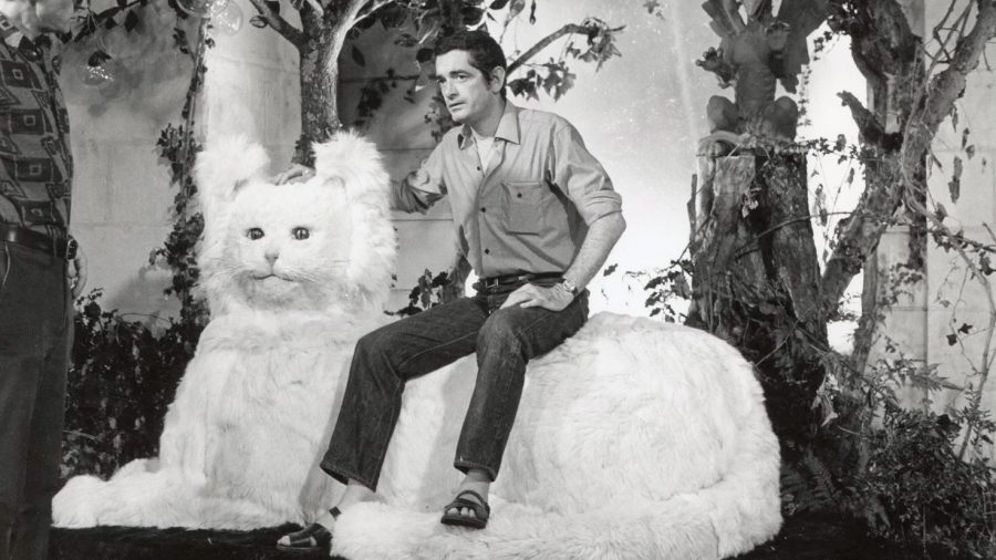 Springtime with Jacques – Donkey Skin [In-Person Only] - Northwest Film ...