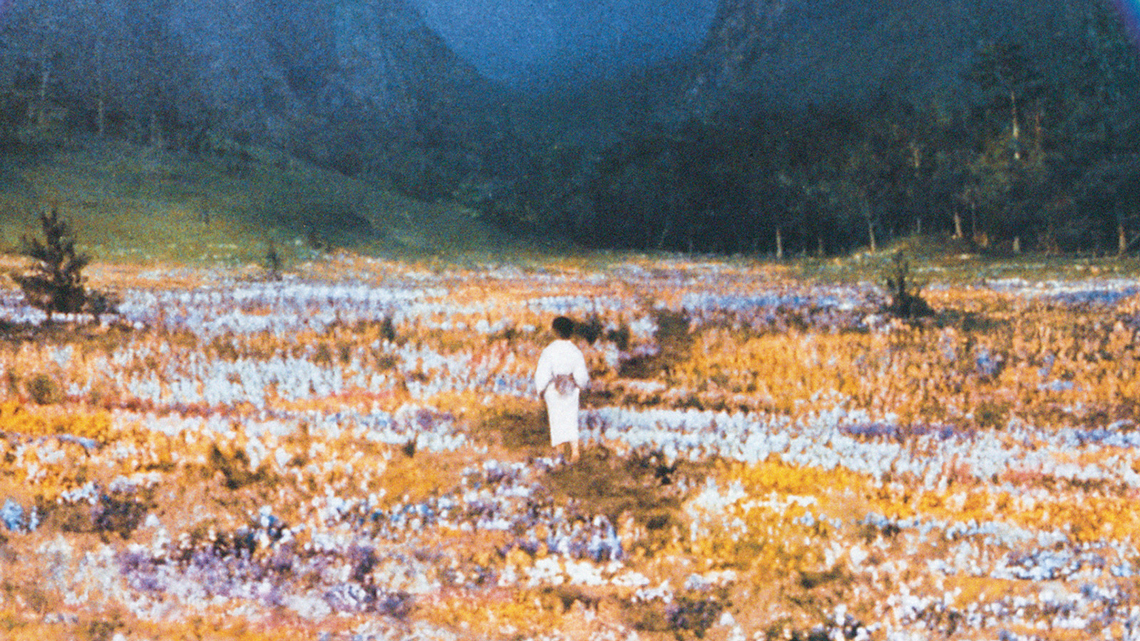 Akira Kurosawa s Dreams In Person Only Northwest Film Forum akira-kurosawa-s-dreams-in-person-only-northwest-film-forum