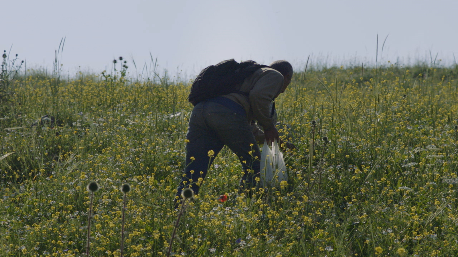 Palestine Cinema Days 2026: Foragers at Northwest Film Forum